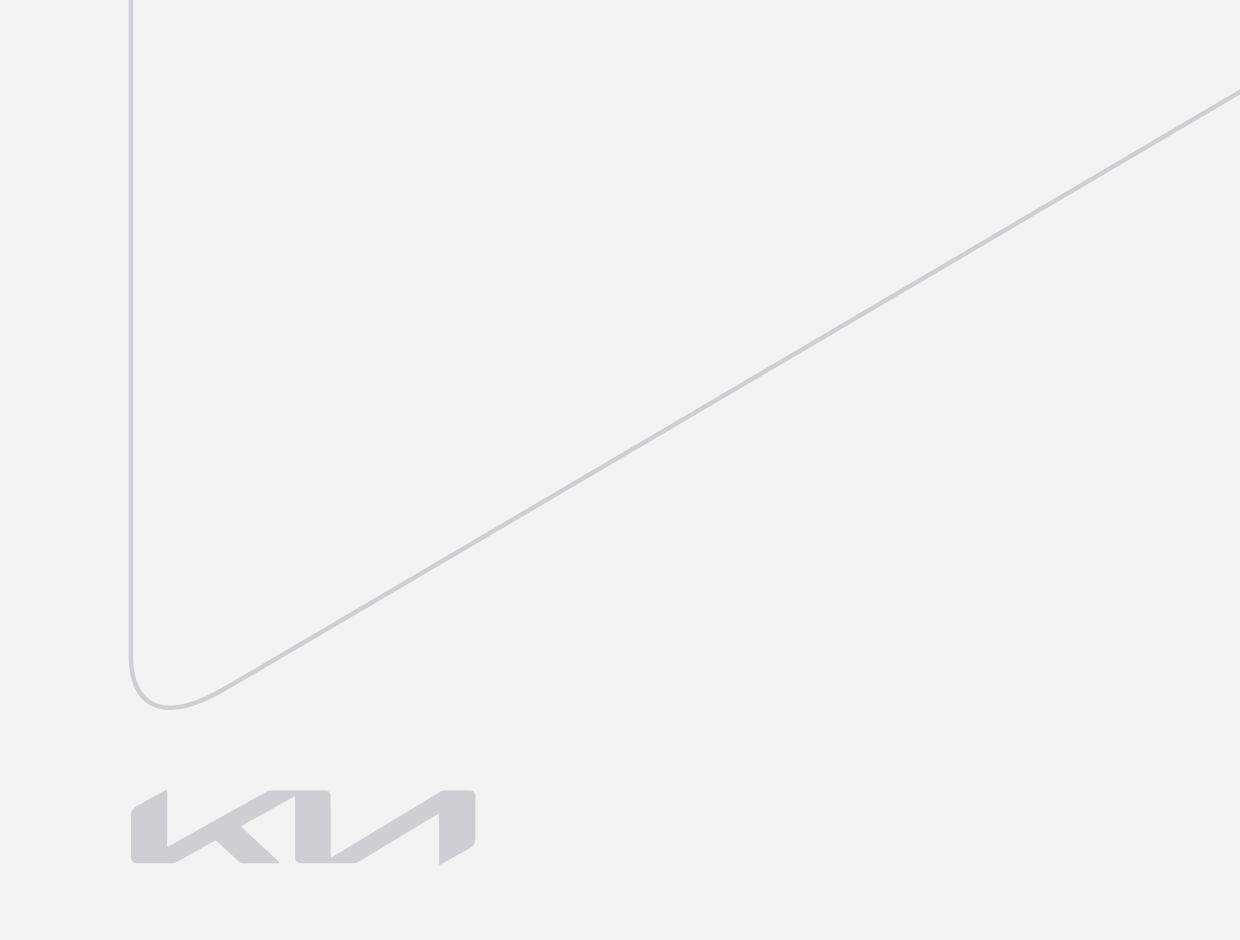 Дефлекторы на двери