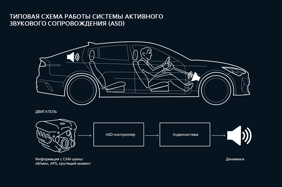 10 шумов в автомобиле, которые могут беспокоить водителя – новости от Master LUX