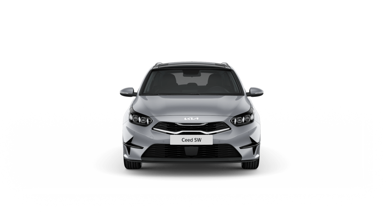 Favorit motors kia север