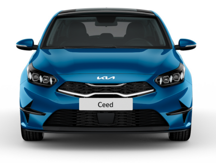 Защитная сетка радиатора