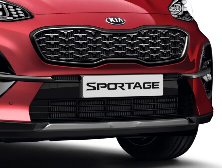 Защитная сетка радиатора